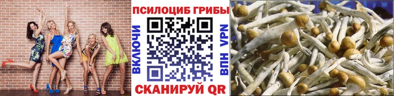 Псилоцибиновые грибы MAGIC MUSHROOMS  mega маркетплейс  Кизляр 